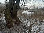 IMG_20210117_152613