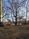 GCkgat_20210111_091647