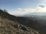 IMG_0914