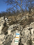 IMG_0923
