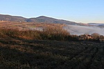 IMG_0774