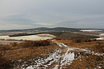 IMG_1009
