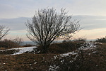IMG_1014