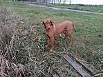 IMG_20210103_103934