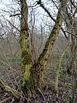 IMG_20210101_150411