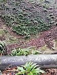 IMG_20210101_143741