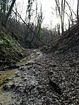 IMG_20210101_134901
