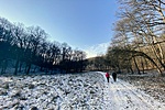 IMG_7914