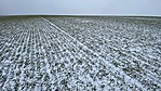 IMG_7947