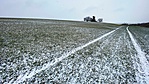 IMG_7942