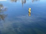IMG_7687