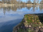 IMG_7690