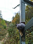 IMG-4d502faa5c357c363f245a8f5ff768b6-V