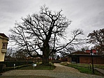 IMG_20210103_105856