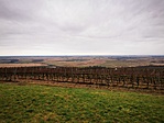 IMG_20210103_124119