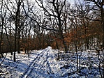 IMG_20210116_093314