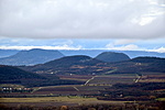DSC_1551