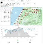 Strava