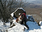 IMG_20210214_120653