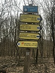 IMG_5058