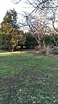 A park 