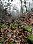 IMG_20210207_141616
