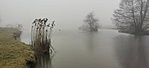 IMG_20210207_152243