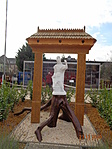 DSC06217