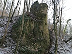 IMG_20210214_121831