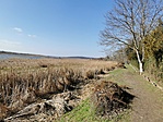 IMG_20210228_134612