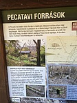 Infó tábla