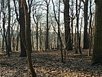 Kiváncsiak