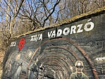 IMG_3181