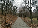 IMG_20210207_112229
