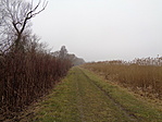 DSC09706