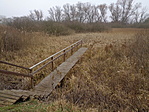 DSC09719