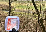 gcpula-IMG_6915