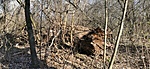 IMG_20210218_140103