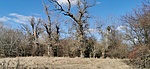 IMG_20210218_140243