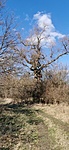 IMG_20210218_140350