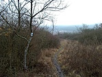 IMG_20210207_085444