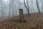 _DSC5594
