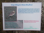 Sóvirág tanösvény