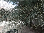 IMG_20210211_135133