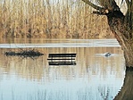 IMG_20210228_153716