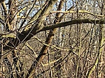 IMG_20210214_144757
