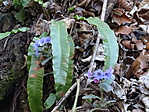 DSC01520