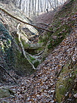 DSC01567