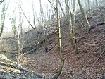 IMG_20210228_110256