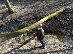 IMG_20210228_111605